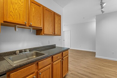 Spicket Commons unit 206, Methuen, MA 01844 - photo 6