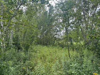 additional ground photo.jpg