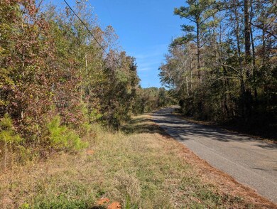 0 County Rd 51 unit A, Greensboro, AL 36033 - photo 5