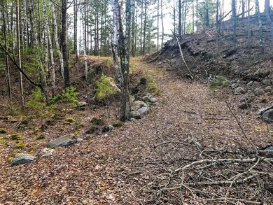 Lots1&19 Whitetailed Deer Dr, Tomahawk, WI 54487 - photo 4