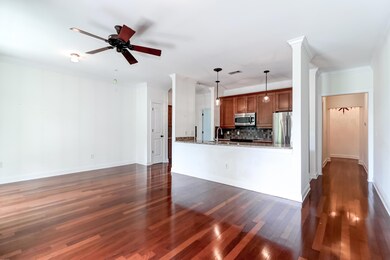 21 George 207 -Tidalcreekphoto- (22)