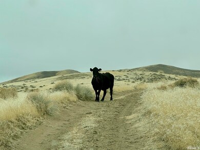 00 Sombrero Peak, Winnemucca, NV 89445 - photo 3