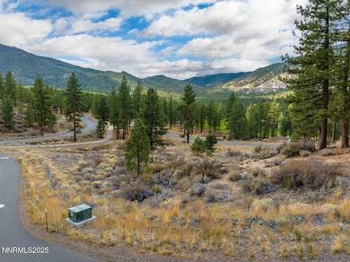 569 Headwaters Way unit 358, Carson City, NV 89705 - photo 6