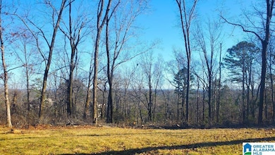 5009 Altamont Rd S unit 10, Birmingham, AL 35222 - photo 3