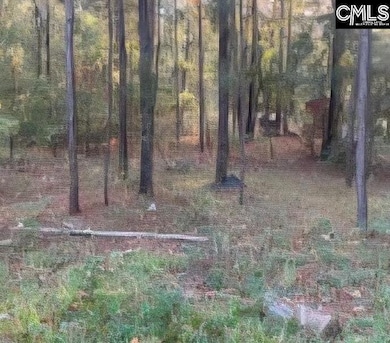 35 Simmons Dr, Camden, SC 29020 - photo 3