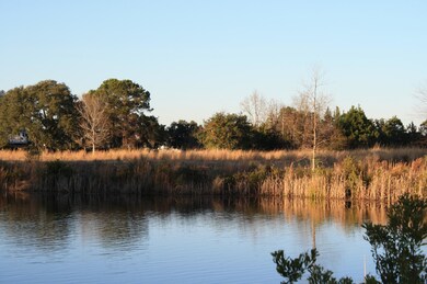 IMG_8429