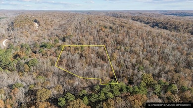0 Cuba Landing Rd unit RTC3059778, Waverly, TN 37185 - photo 6