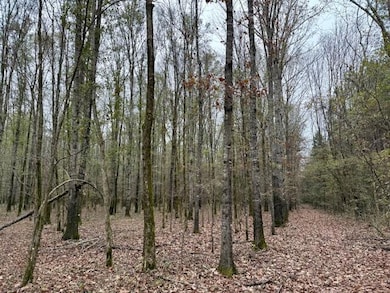 12 Acres Reed Rd, Starkville, MS 39759 - photo 4