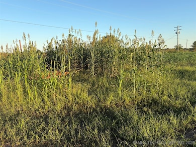 0 S 250 Rd unit 2540937, Wagoner, OK 74467 - photo 5