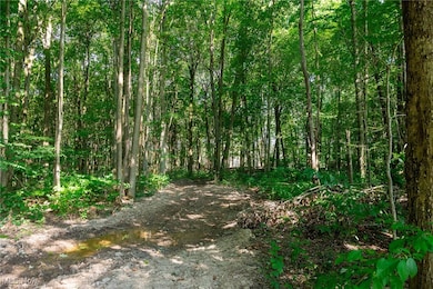 0 Andrews Ln, East Fallowfield Township, PA 16316 - photo 7