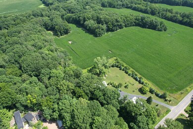 8499 Kruger Rd Rd, Three Oaks, MI 49128 - photo 4