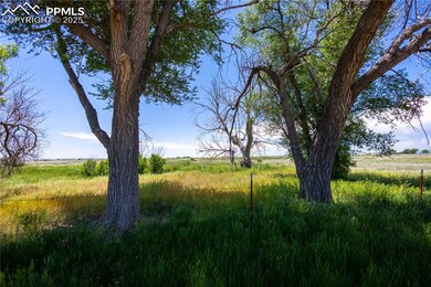 23655 E Garrett Rd, Calhan, CO 80808 - photo 4