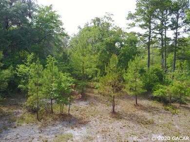 0 SE Family Rd, Lulu, FL 32061 - photo 7