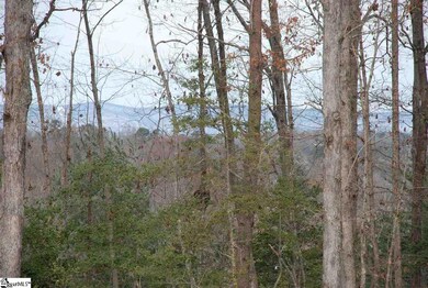 0 Foot Hills Rd unit Parcel A & B, Greenville, SC 29617 - photo 6