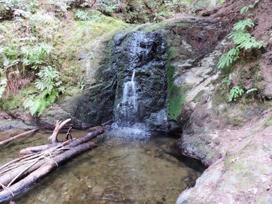 19801 212th St E, Orting, WA 98360 - photo 2