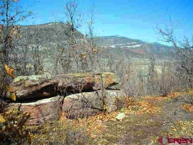 0 Elkridge Ln unit 654954, Durango, CO 81301 - photo 5