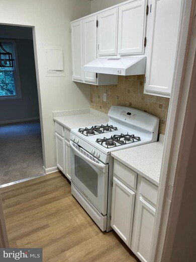 3790 Lyndhurst Dr unit 203, Fairfax, VA 22031 - photo 7