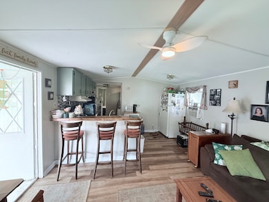 4 Topaz Dr, Eustis, FL 32726 - photo 4