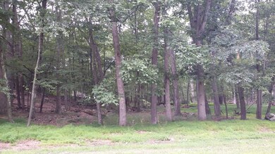 118 Broadmoor Dr, Blooming Grove Township, PA 18428 - photo 2