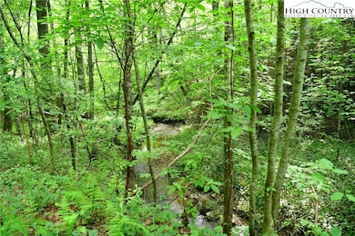 TBD Elk Knob Rd, Laurel Springs, NC 28644 - photo 4