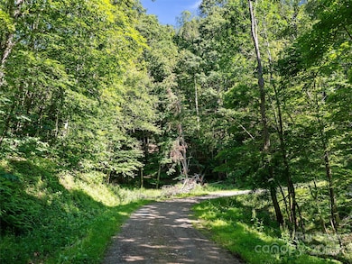 0 Chestnut Ln unit Lot 84, Mars Hill, NC 28754 - photo 3