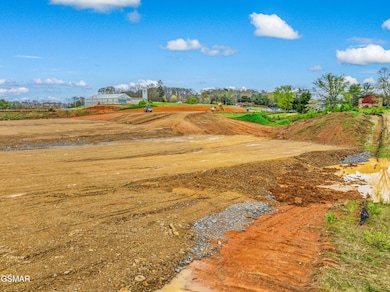 0 Winfield Dunn Pkwy unit 305867, Kodak, TN 37764 - photo 7