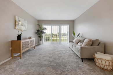 2900 Maple Ave unit 17E, Downers Grove, IL 60515 - photo 3