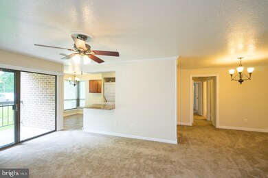 11216 Chestnut Grove Square unit 119, Reston, VA 20190 - photo 5