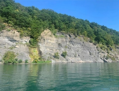 0 Off Morris Run Rt-41, Spafford, NY 13077 - photo 2