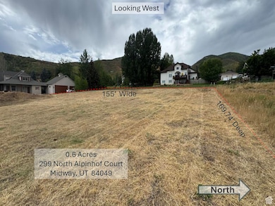 299 N Alpenhof Ct unit 5, Midway, UT 84049 - photo 4
