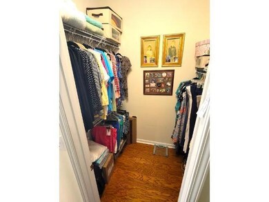 Walk in closet featuring dark hardwood / wood-styl