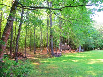 Backside with shed