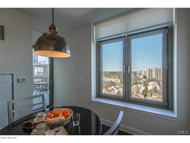 70 Forest St unit 14F, Stamford, CT 06901 - photo 7