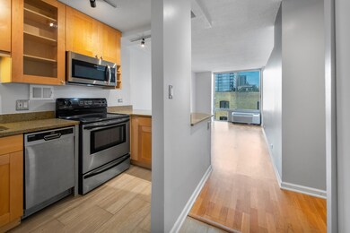 450 W Briar Place unit 4L, Chicago, IL 60657 - photo 2