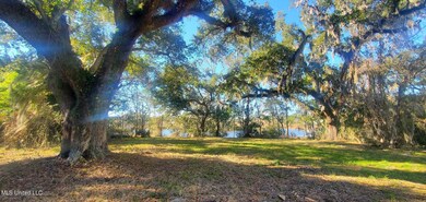 Under the Oaks