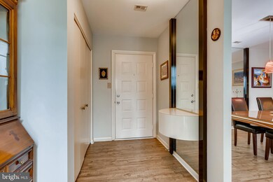 6350 Red Cedar Place unit 308, Baltimore, MD 21209 - photo 4