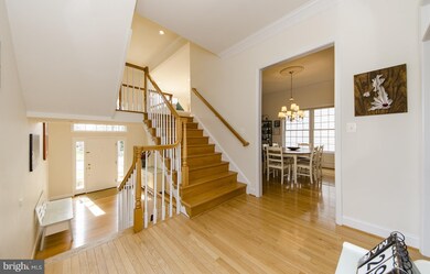 604 Highland Ave, Falls Church, VA 22046 - photo 4