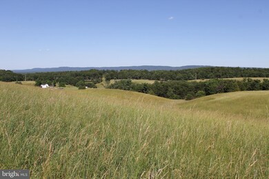 29.63 Ac Push Root Rd, Burlington, WV 26710 - photo 5