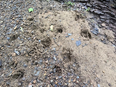 1 Sycamore Fork Rd, Salyersville, KY 41465 - photo 5