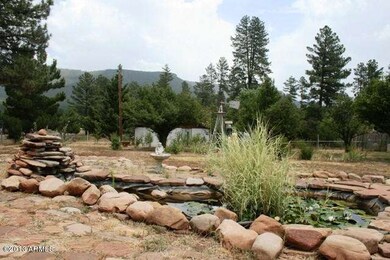 Fish pond in front yard