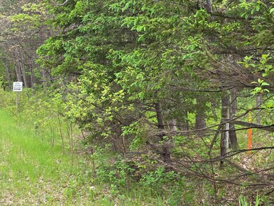 7470 Becker Rd, Manistee, MI 49660 - photo 4