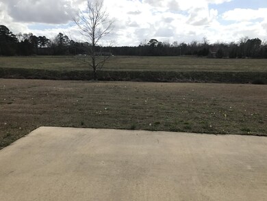 1532 Ashmoor Ln, Winterville, NC 28590 - photo 4