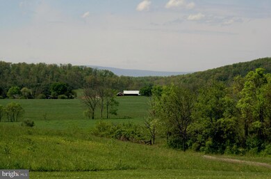 1659 Apple Pie Ridge Rd, Winchester, VA 22603 - photo 4