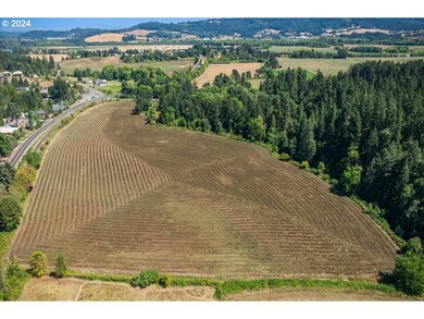 0 SW Scoggins Valley Rd unit 24591671, Gaston, OR 97119 - photo 3