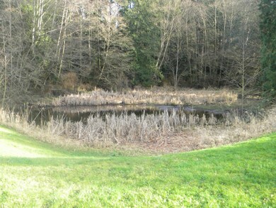 31225 Pioneer Hwy, Stanwood, WA 98292 - photo 3