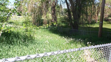 Kar's back yard