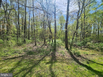 0 Fish Hatchery Rd unit MDKE2004754, Chestertown, MD 21620 - photo 4