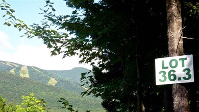 5 Golden Heights Rd unit 36.3, Waterville Valley, NH 03215 - photo 6