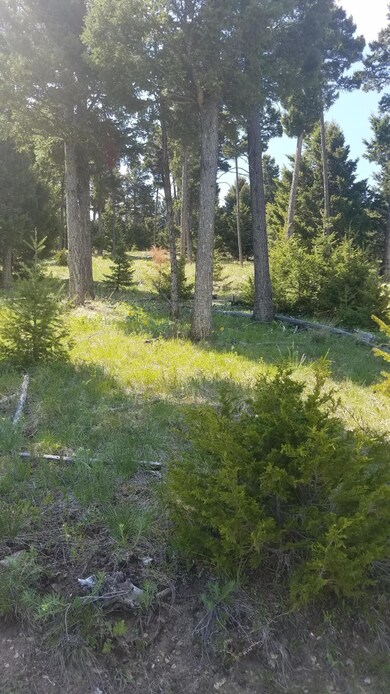 Turk Rd pic 3 20210603_151703