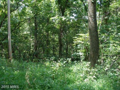 LOT 16 Bragg Dr, Front Royal, VA 22630 - photo 4